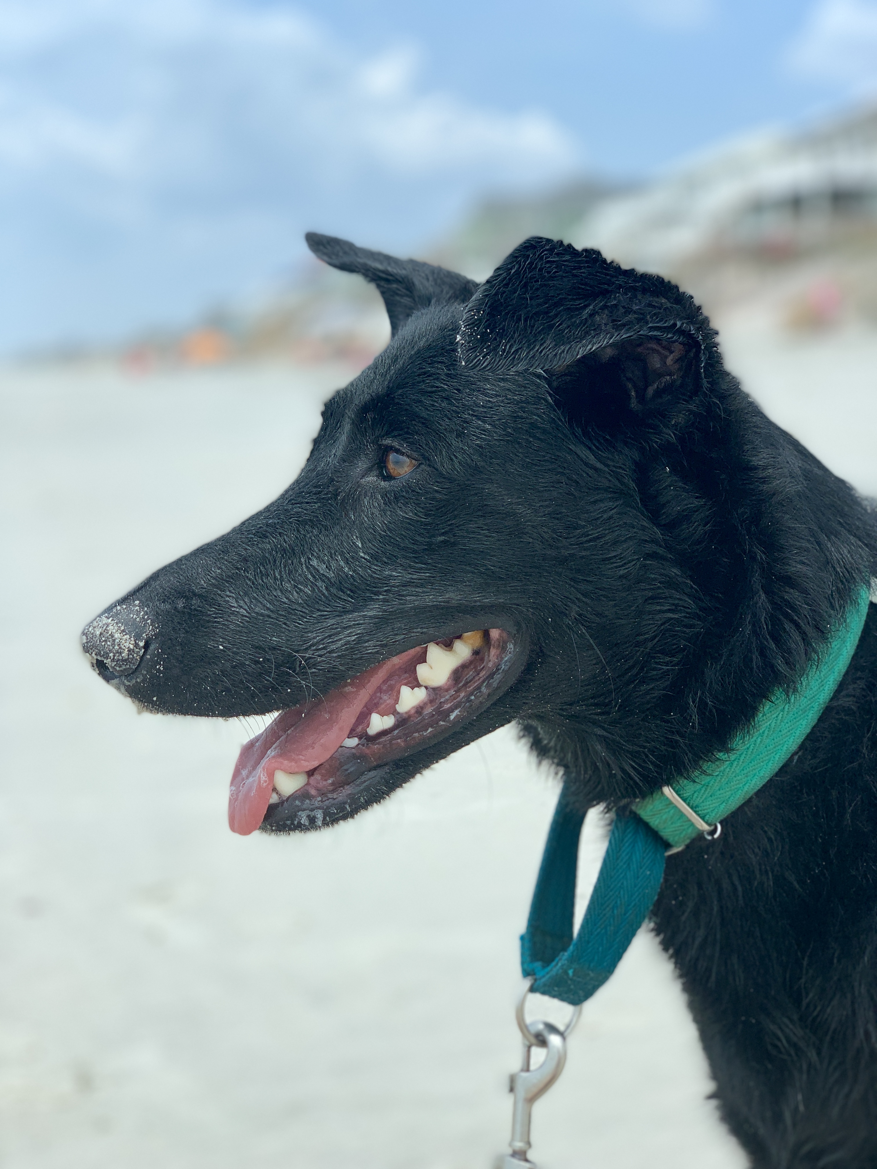 Beach day